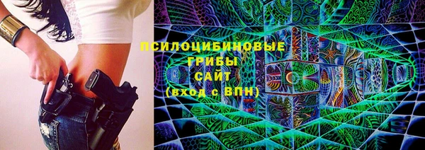 винт Гусев