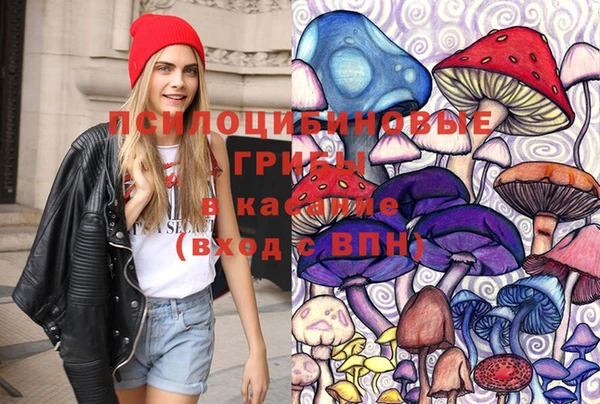 прущие крисы Гусиноозёрск
