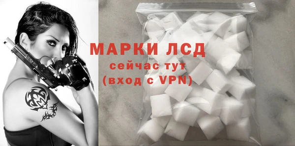 винт Гусев