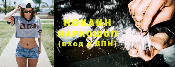 винт Гусев
