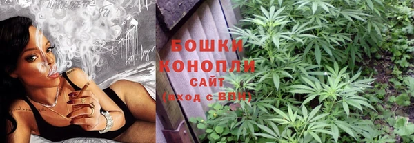 винт Гусев