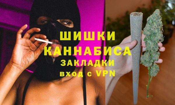 винт Гусев
