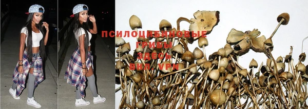 винт Гусев