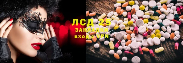 ECSTASY Гусь-Хрустальный