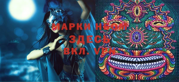 ECSTASY Гусь-Хрустальный