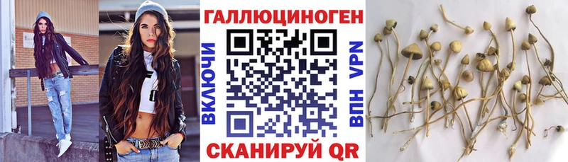 Галлюциногенные грибы Cubensis  Приволжский 